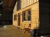 ferienhaus-372-2 - Hütten und Alphütten im Lechtal