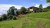 ferienhaus-119-20 - Villa am Lago-Maggiore am See mit Pool bis 10 Personen im Tessin