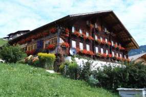 Moderne Ferienwohnung in freistehendem Ferienhaus hoch über Interlaken mit toller Aussicht 1100 m ü. M. für 1 - 4 Personen (Nr. 263 - Ferienwohnung Brienzersee)