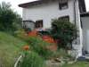 ferienhaus-030-807