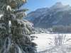 ferienhaus-236-5 / Dieses grosse Ferienhaus steht in Les Diablerets