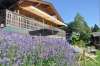 ferienhaus-326-014 - Ferienhaus in den Glarneralpen