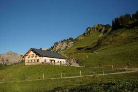 Ferien- Alphaus (Nr. 371A) mit 2 Hausteilen im Grossen Walsertal mitten in den Wiesen und im Skigebiet für 1 - 21 Personen (Nr. 371 A + 371B - Ferienhaus in Österreich)