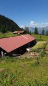 ferienhaus-265-125