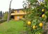 ferienhaus-1068-4