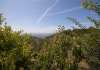 ferienhaus-1160-4 - Toscana - Last-Minute - Ferienhäuser