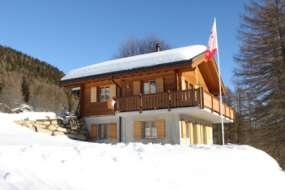 Komfort-Ferienhaus in sehr schöner und ruhiger Südhanglage auf der Sonnenterrasse Bellwald 1600 m ü. M. für 1 - 8 (10) Personen (Nr. 137 - Ferienhaus Wallis)