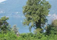 Zwei Ferienhaushälften in idyllischer Aussichtslage mit Garten ca. 15 Gehminuten vom (Lago-Maggiore) See entfernt für 1 - 12 Personen ((Nr. 113A - Ferienhaus im nahen Italien)