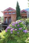 ferienhaus-99-15 - Ferienhaus mit Pool im Tessin