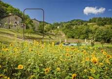 Toscana - 2 Ferienhäuser mit grossem Pool, Park und toller Aussicht (total 4 Wohneinheiten) bis 24 Personen (Nr. 1005C bis 4 Personen)