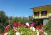 ferienhaus-1034-2 - Ferienhaus bis 8 Personen mit grossem Pool im Grünen in der Toscana