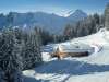 ferienhaus-325-winter6