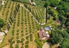 Toskana - Ferien-Landhaus Nr. 1076 mitten im Grünen mit viel Charme, Pool, Olivenbäume, nähe Lucca und Pisa sowie mit grossem Garten in ruhiger und idyllischer Lage für 1 - 8 Personen