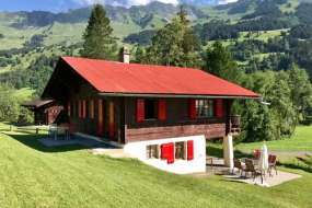 Ferienhaus mitten in den Wiesen über Les Diablerets in herrlicher Aussichtslage 1200 m ü. M. für 1 - 8 Personen (Nr. 236)