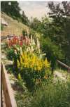 ferienhaus-27-5 - Münstertal und Alphüttenferien in der Schweiz und Graubünden