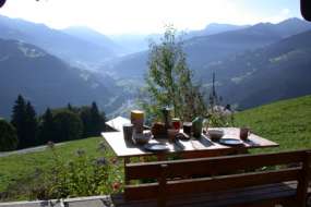Bijou-Ferienhaus mitten in den Wiesen hoch über dem Prättigau in sehr schöner Lage 1400 m ü. M. für 1 - 6 Personen (Nr. 034 - Ferienhaus Graubünden)