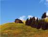 id-1-6 - Hütte im Bünderland