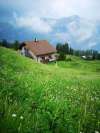 ferienhaus-015-306