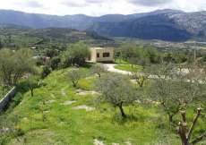 Sardinien - Ferienbungalow Nr. 1177 mitten im Grünen und neben Schweizer Bauernhof  über Drogali und dem Meer auf Sardinien für 1 bis 3 Personen