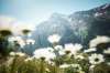 ferienhaus-lortschental-201-053