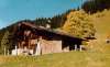 ferienhaus-244-2 / Alphaus in der Region Thunersee