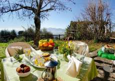 Toskana - Ferien-Rustico Nr. 1072 in der Weinregion mit Traumaussicht und Garten Garten für 1 - 4 Personen