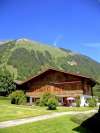 ferienhaus-253-1 / Ferienhaus in der Region Gstaad