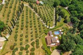 Toskana - Ferien-Landhaus Nr. 1076 mitten im Grünen mit viel Charme, Pool, Olivenbäume, nähe Lucca und Pisa sowie mit grossem Garten in ruhiger und idyllischer Lage für 1 - 8 Personen