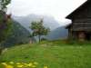 ferienhaus-317-3 - Alphaus in Glarus und Glanerland