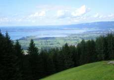 Appenzellerhaus über dem Bodensee mit Seesicht in idyllischer Lage mitten in der Natur für Gäste die das Besondere schätzen - 900m ü. M. für 1 - 7 (11) Personen (Nr. 321 - Ferienhaus über dem Bodensee)
