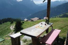 Alphaus mitten in den Alpwiesen am Schamserberg 1800 m ü. M. für 1 - 7 Personen (Nr. 013 - Alphaus Graubünden)