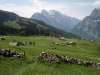 feienhaus-319-bilder-zur-region-7