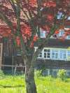 ferienhaus-320-002