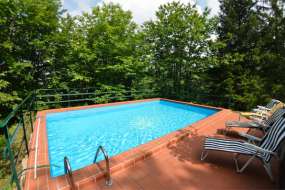 Toskana - Ferienhaus Nr. 1101 mitten in der Natur mit Pool für Romantiker (Natur pur) mit einem Grundstück von 10'000m2 für 1 - 6 Personen