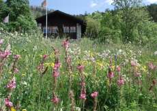 Bijou-Ferienhaus mitten in der Natur vor Leukerbad in sehr schöner Lage im Grünen 1100 m ü. M. für 1 - 5 Personen (Nr. 209 - Ferienhaus Wallis)