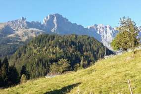 Ferien-Bauernhaus mit viel Charme über Meiringen-Innetkirchen in herrlicher Aussichtslage für 1 bis 6 Personen (Nr. 243 im Berneroberland)