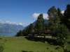 ferienhaus-289-699 - Ferienhaus am See - Vierwaldstättersee - Zentralschweiz