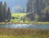 ferienhaus-319-bilder-zur-region-9