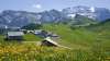 ferienhaus-adelboden-6