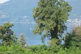 Zwei Ferienhaushälften in idyllischer Aussichtslage mit Garten ca. 15 Gehminuten vom (Lago-Maggiore) See entfernt für 1 - 12 Personen ((Nr. 113A - Ferienhaus im nahen Italien)