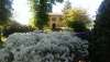 ferienhaus-119-21 - Grosse Villa und Ferienhaus mit Pool im Tessin am See und am Lago-Maggiore