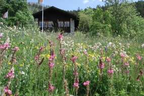 Bijou-Ferienhaus mitten in der Natur vor Leukerbad in sehr schöner Lage im Grünen 1100 m ü. M. für 1 - 5 Personen (Nr. 209 - Ferienhaus Wallis)
