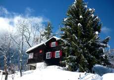Maiensäss im Unterwallis, umgeben von Wiesen  in schöner Lage 1400 m ü. M. für 1 - 5 Personen (Nr. 216 - Ferienhaus Wallis)